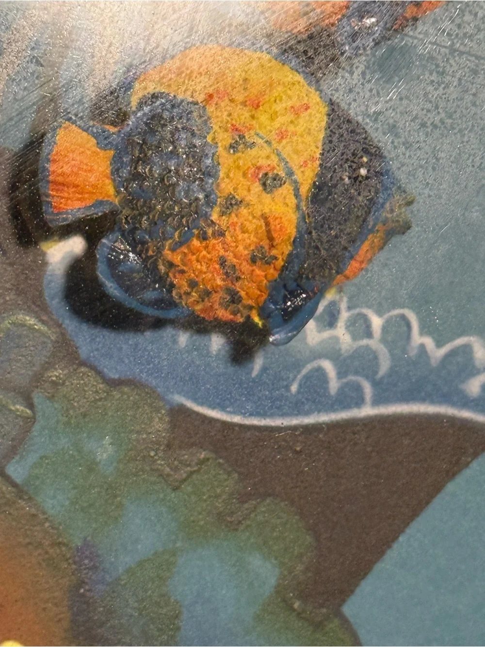 Set‎ of 4 Coastal Tropical Fish Shadow Box Wall Art Framed 3D Nautical